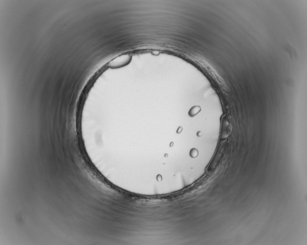 X0000111010884200907171832