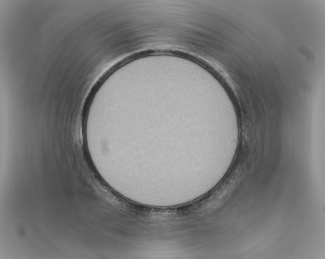 X0000111010887200907171832