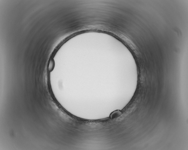 X0000111010888200907171832