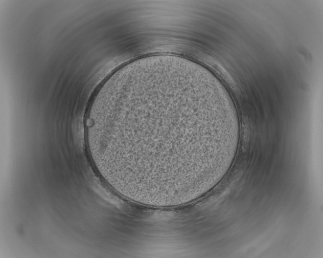 X0000111010890200907171832