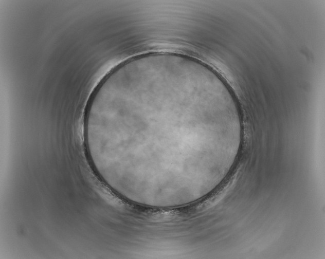 X0000111010891200907171832