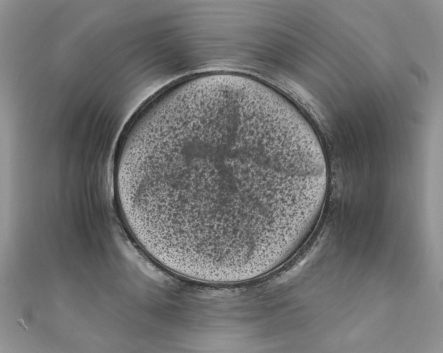 X0000111010892200907171832