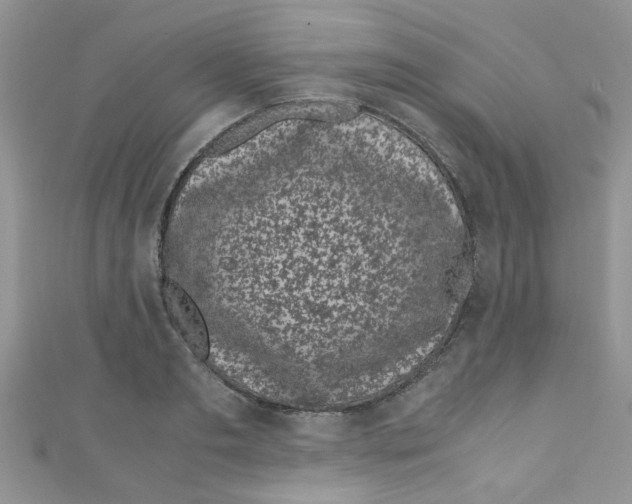 X0000111010893200907171832