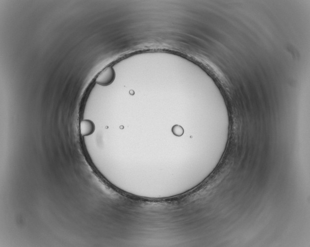 X0000111010894200907171832