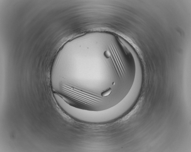 X0000111010897200907171832