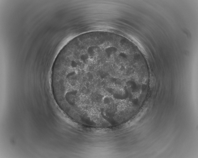 X0000111010899200907171832
