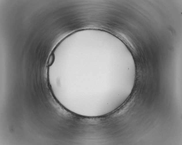 X0000111010900200907171832