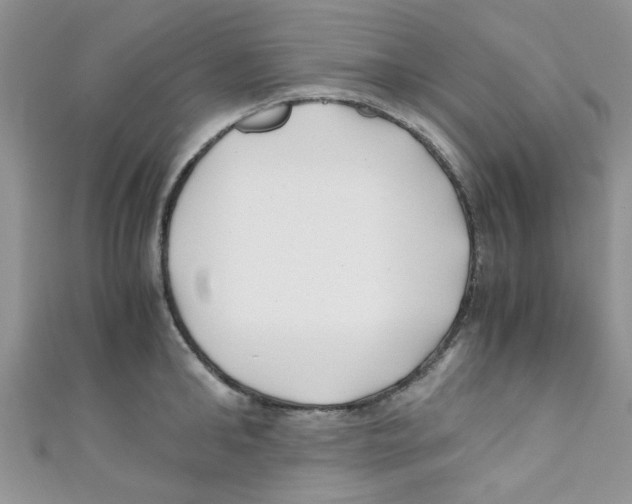 X0000111010902200907171832