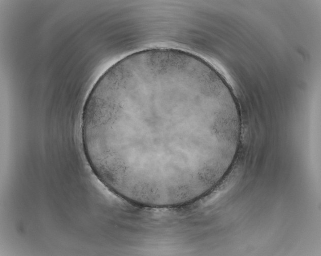 X0000111010903200907171832