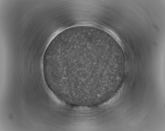 X0000111010907200907171832