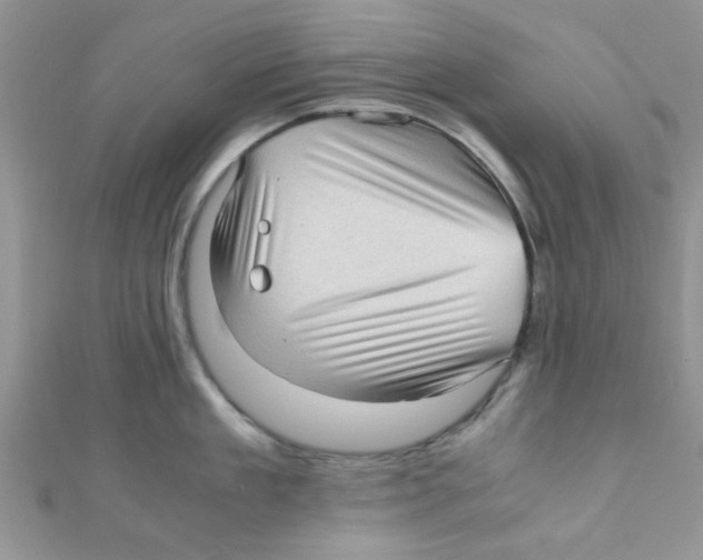 X0000111010909200907171832