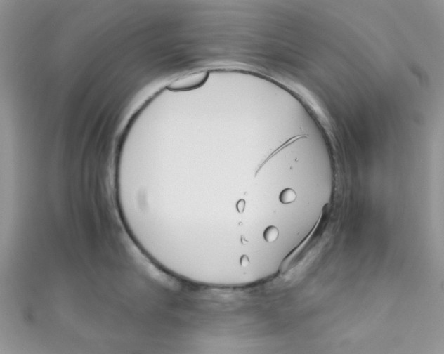 X0000111010910200907171832