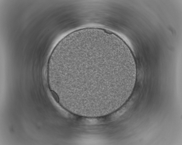X0000111010911200907171832