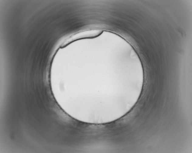 X0000111010912200907171832