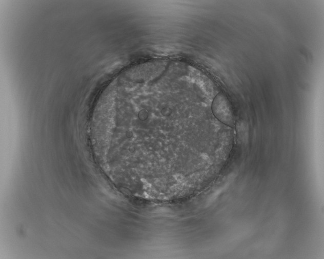 X0000111010913200907171831
