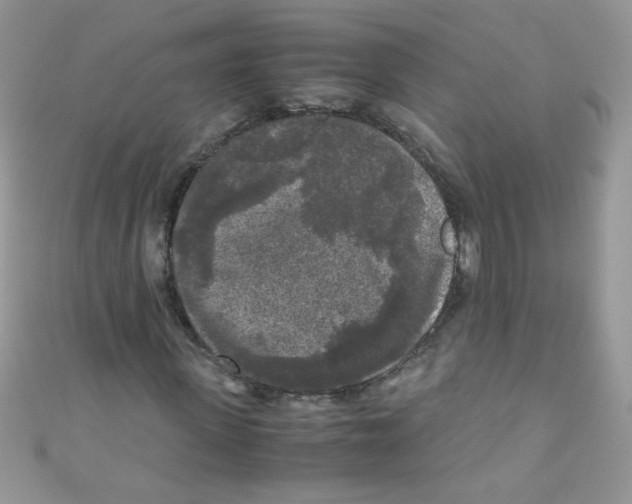 X0000111010915200907171831
