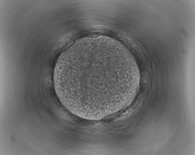 X0000111010916200907171831