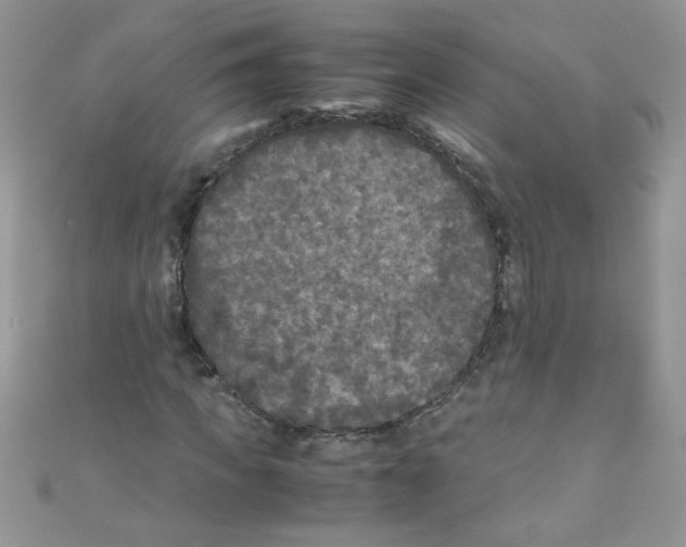 X0000111010917200907171831