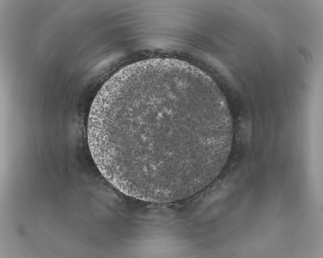 X0000111010918200907171831