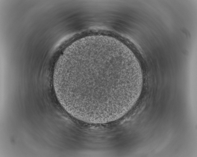 X0000111010919200907171831