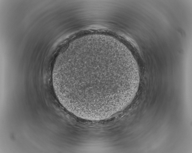 X0000111010920200907171831