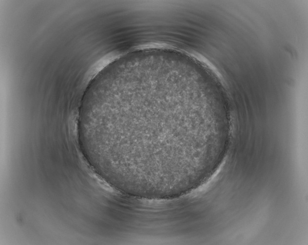X0000111010921200907171831