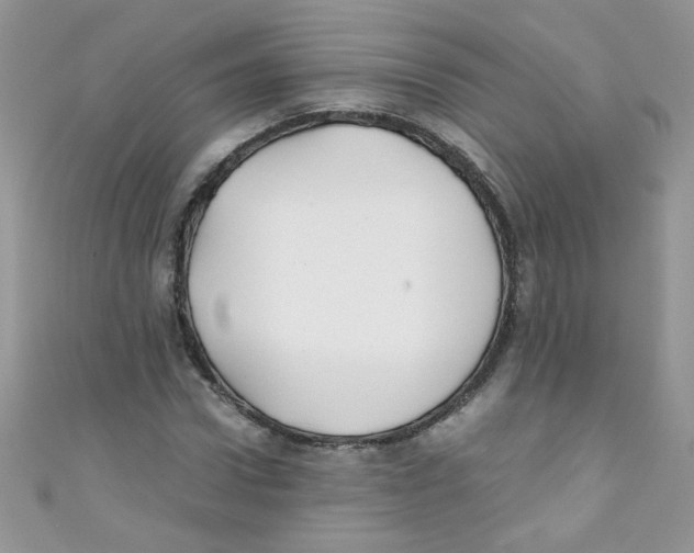 X0000111010922200907171831