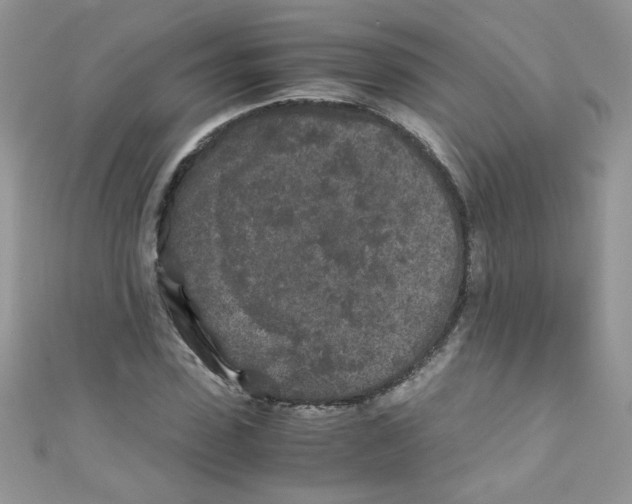 X0000111010923200907171831