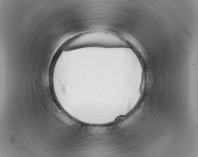 X0000111010924200907171831