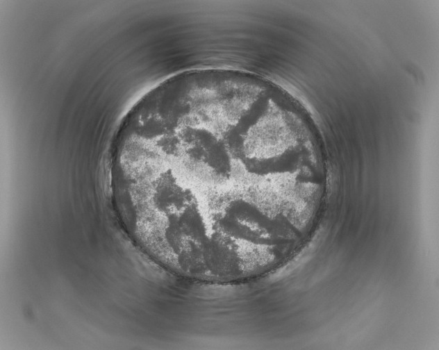 X0000111010925200907171831