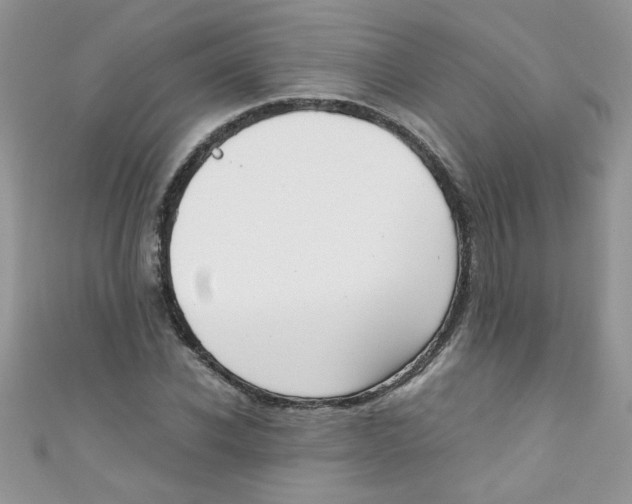 X0000111010926200907171831