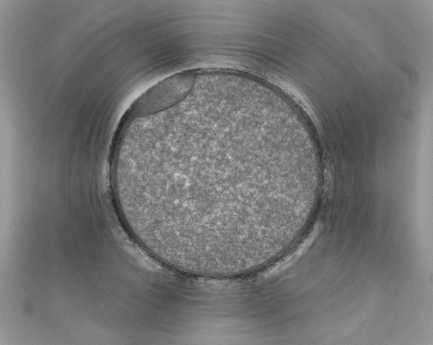 X0000111010928200907171831