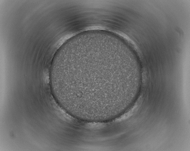 X0000111010929200907171831