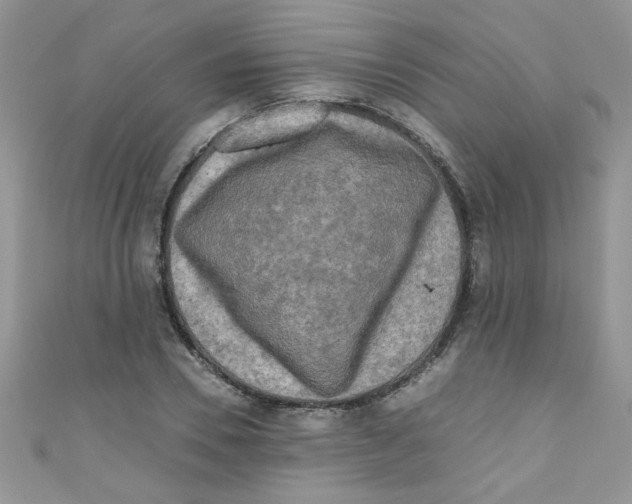 X0000111010930200907171831