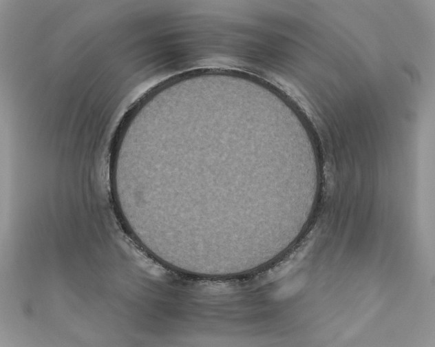 X0000111010931200907171831