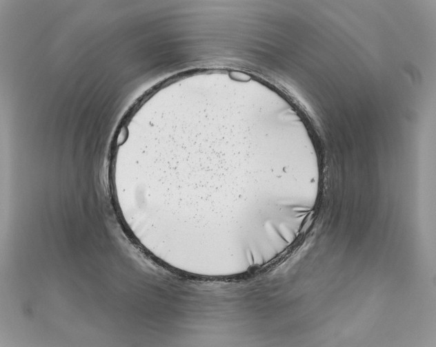 X0000111010932200907171831