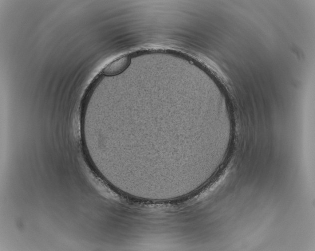 X0000111010934200907171831