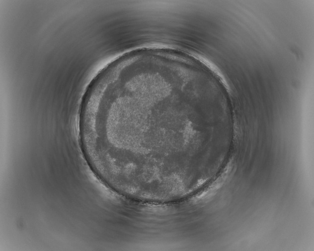 X0000111010935200907171831