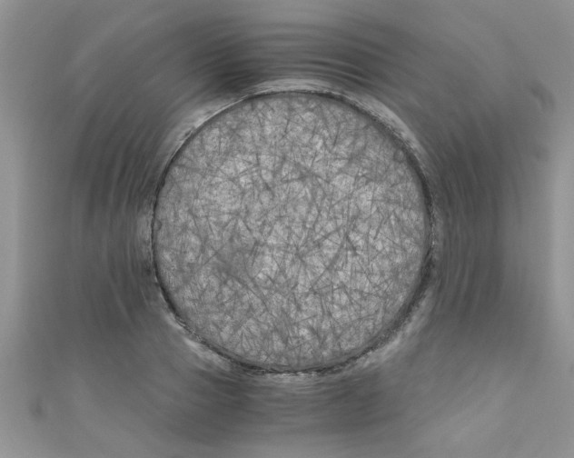 X0000111010937200907171831