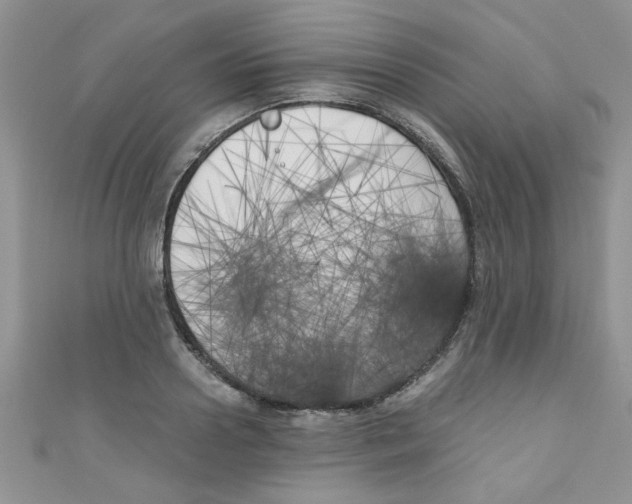 X0000111010938200907171832