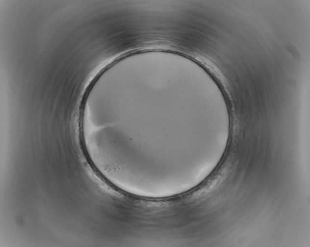 X0000111010941200907171832