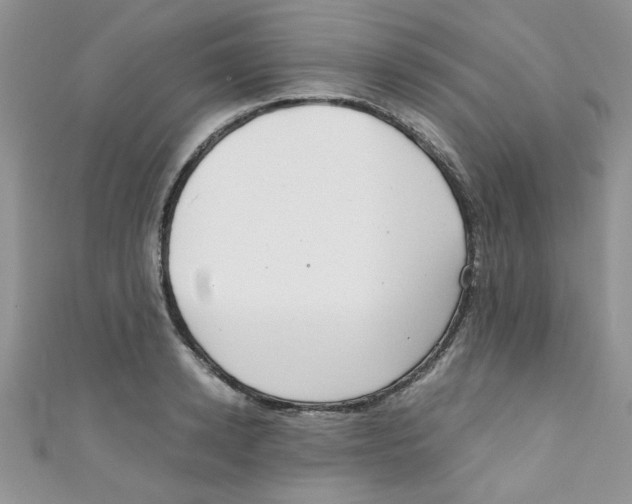 X0000111010942200907171832