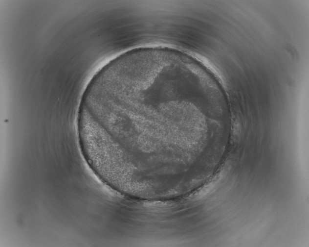 X0000111010943200907171832