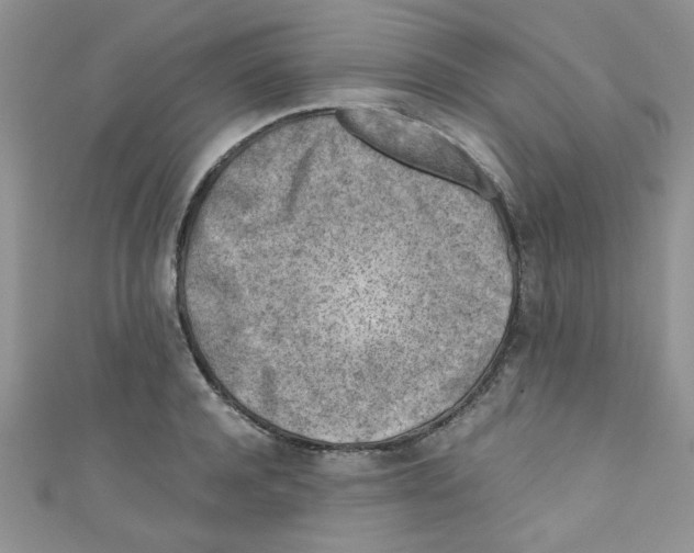 X0000111010944200907171832