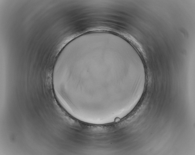 X0000111010945200907171832