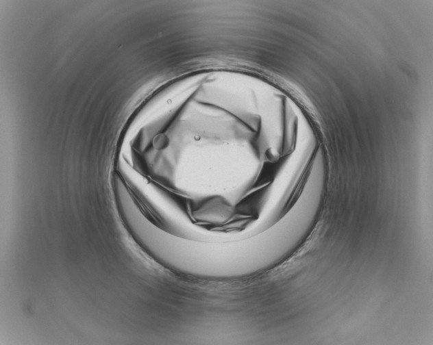 X0000111010946200907171832