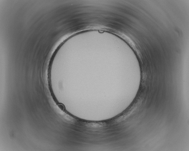 X0000111010947200907171832