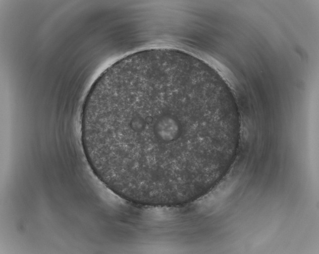 X0000111010950200907171832