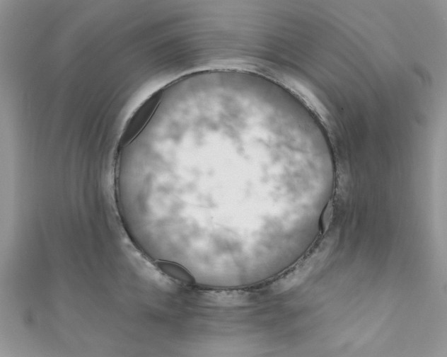X0000111010952200907171832