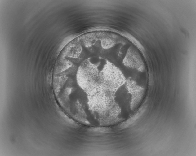 X0000111010953200907171832